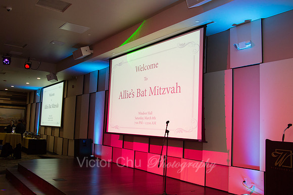 VC-Allie-003